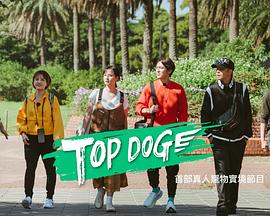 91杏吧《TOP DOG》免费在线观看