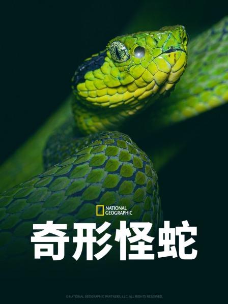 91杏吧在线《奇形怪蛇》免费在线观看